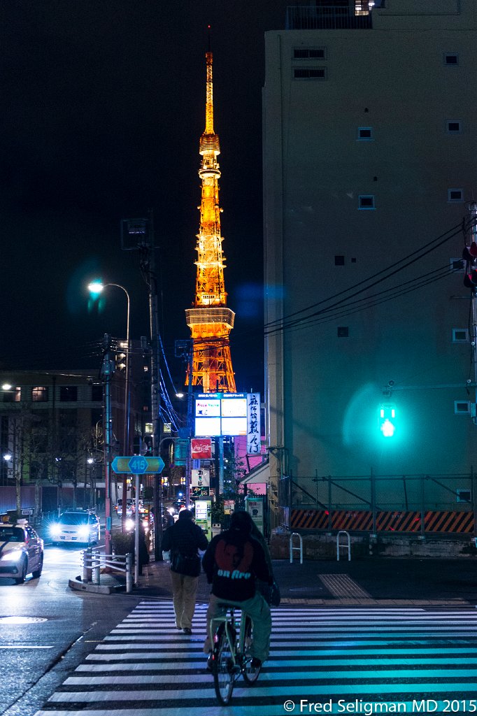 20150310_210602 D4S.jpg - Tokyo Tower
